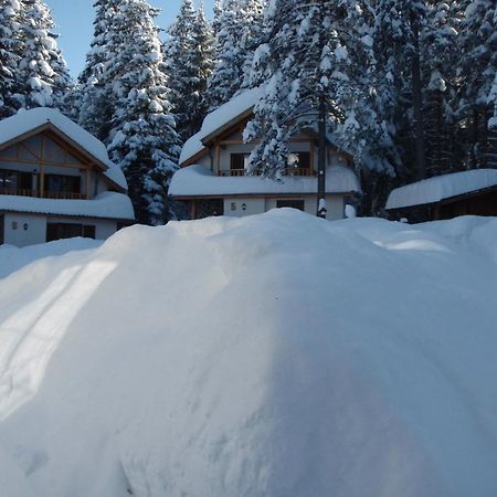 Saint George Holiday Village Borovets Extérieur photo