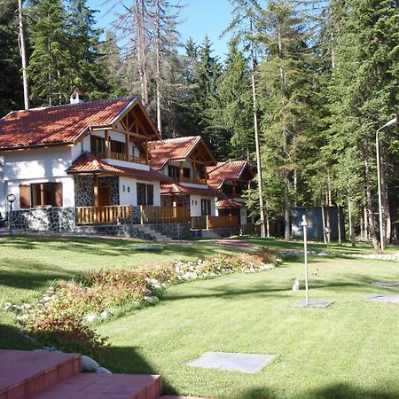Saint George Holiday Village Borovets Extérieur photo
