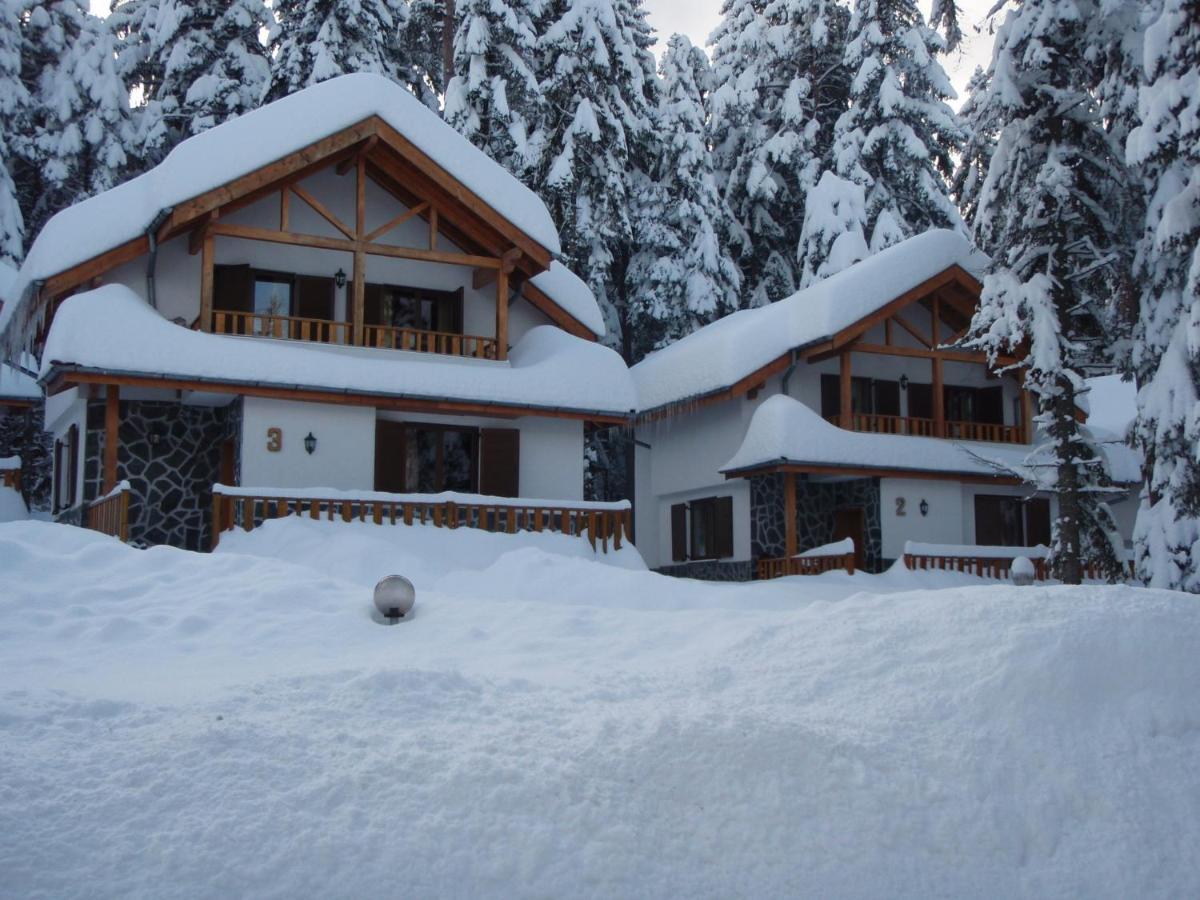 Saint George Holiday Village Borovets Extérieur photo