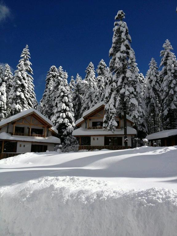 Saint George Holiday Village Borovets Extérieur photo