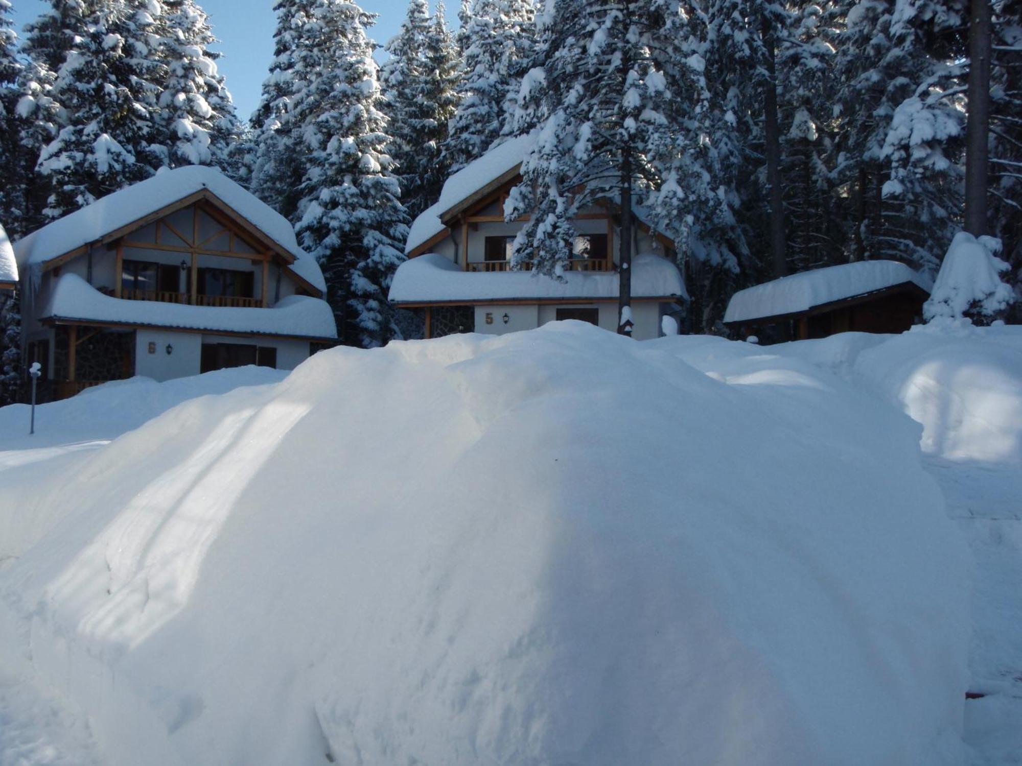 Saint George Holiday Village Borovets Extérieur photo