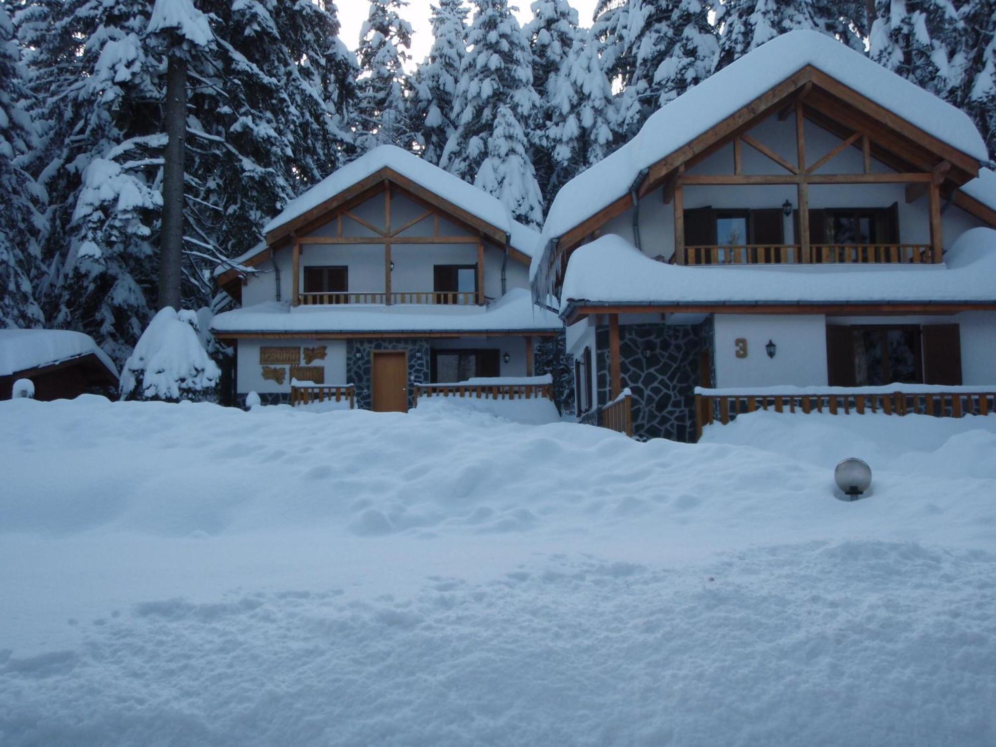 Saint George Holiday Village Borovets Extérieur photo