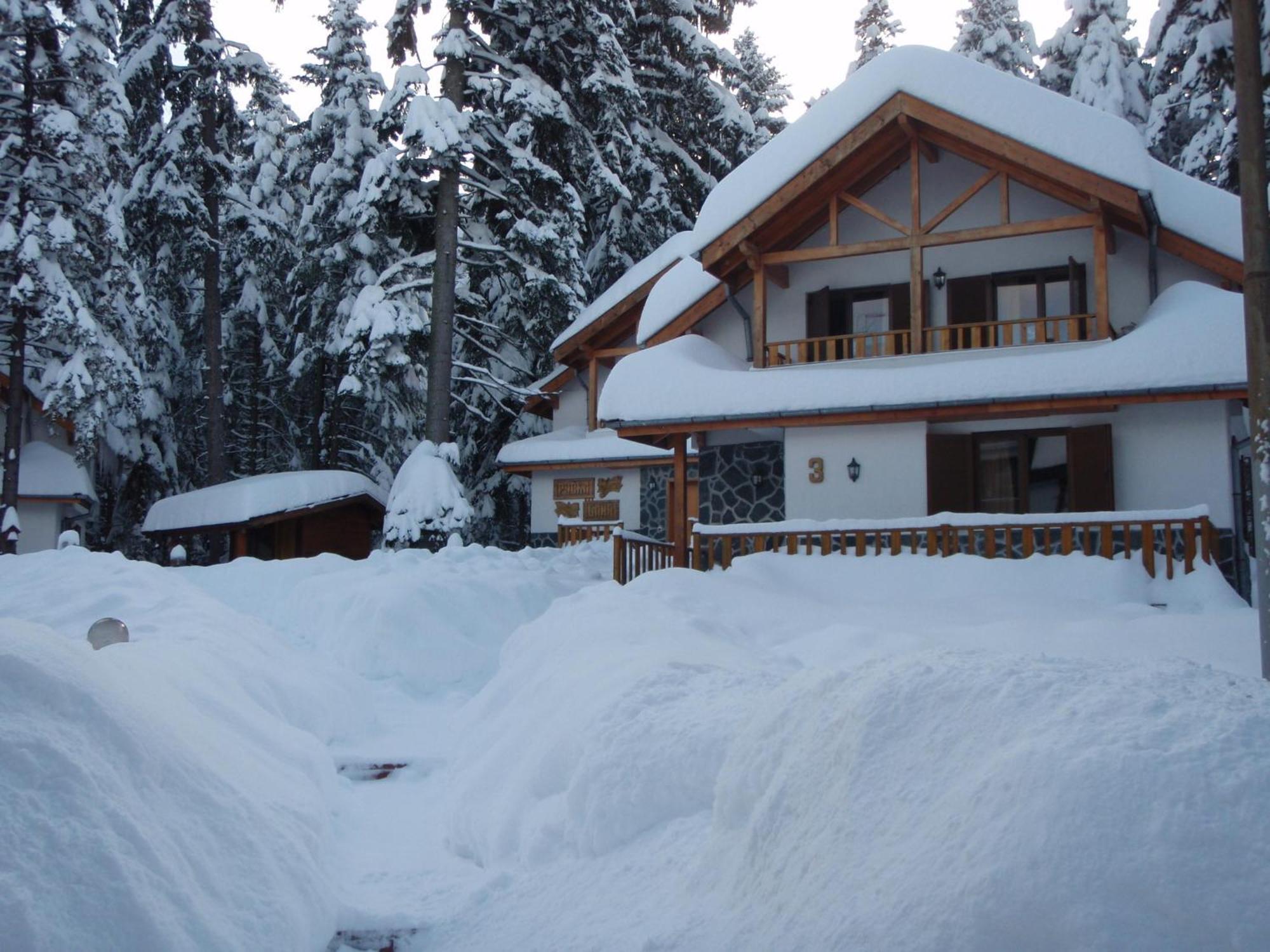 Saint George Holiday Village Borovets Extérieur photo
