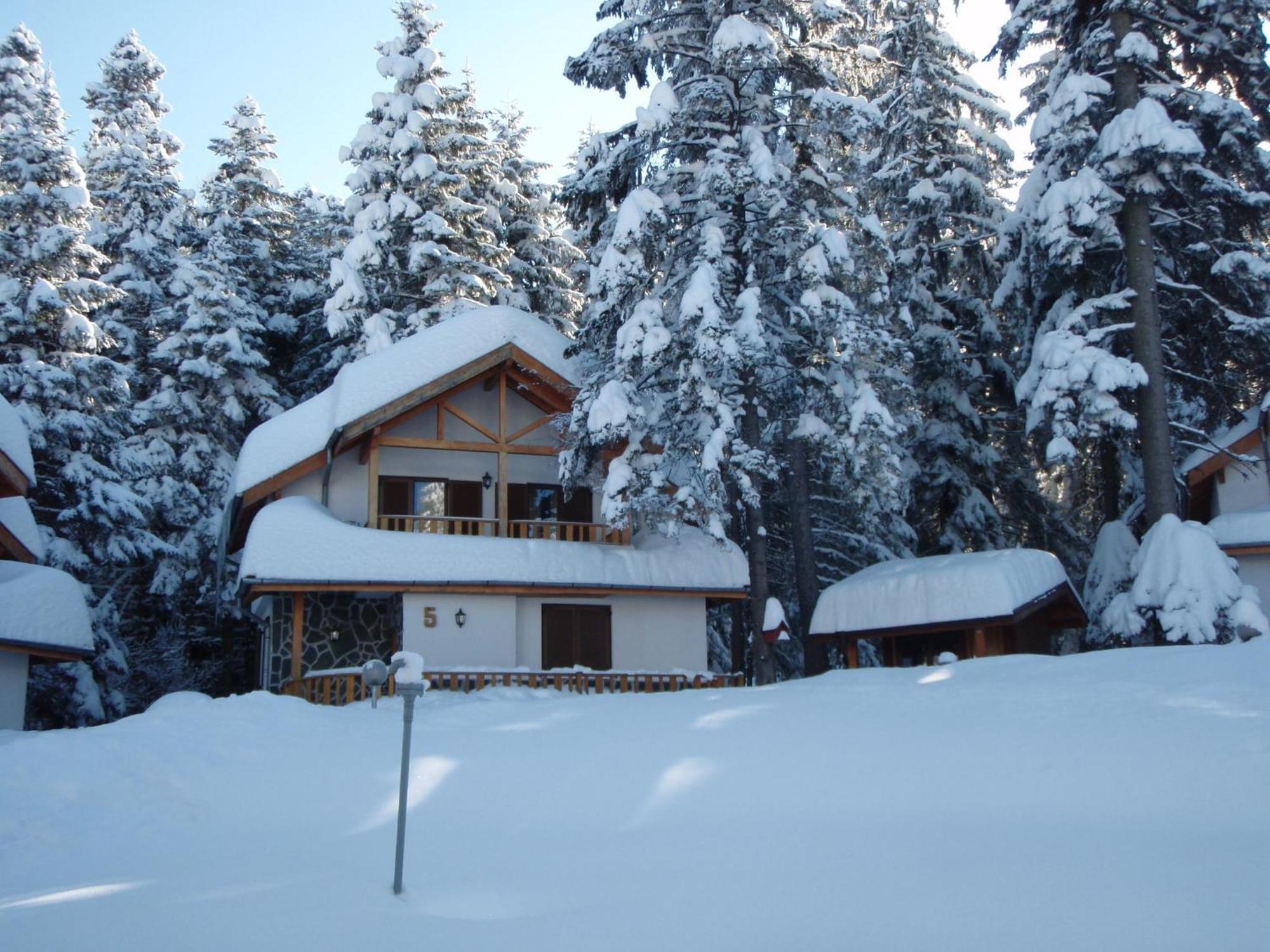 Saint George Holiday Village Borovets Extérieur photo