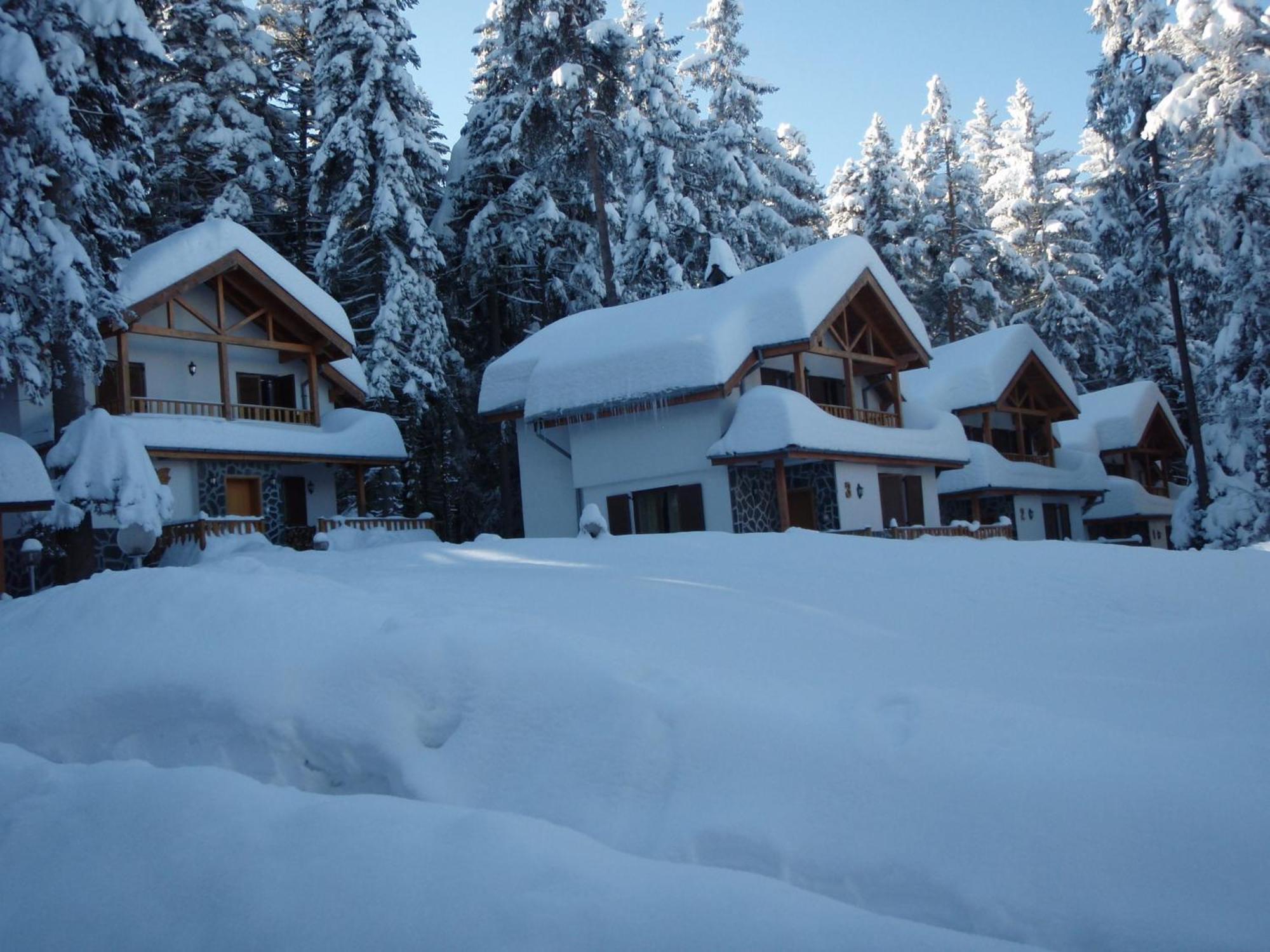 Saint George Holiday Village Borovets Extérieur photo