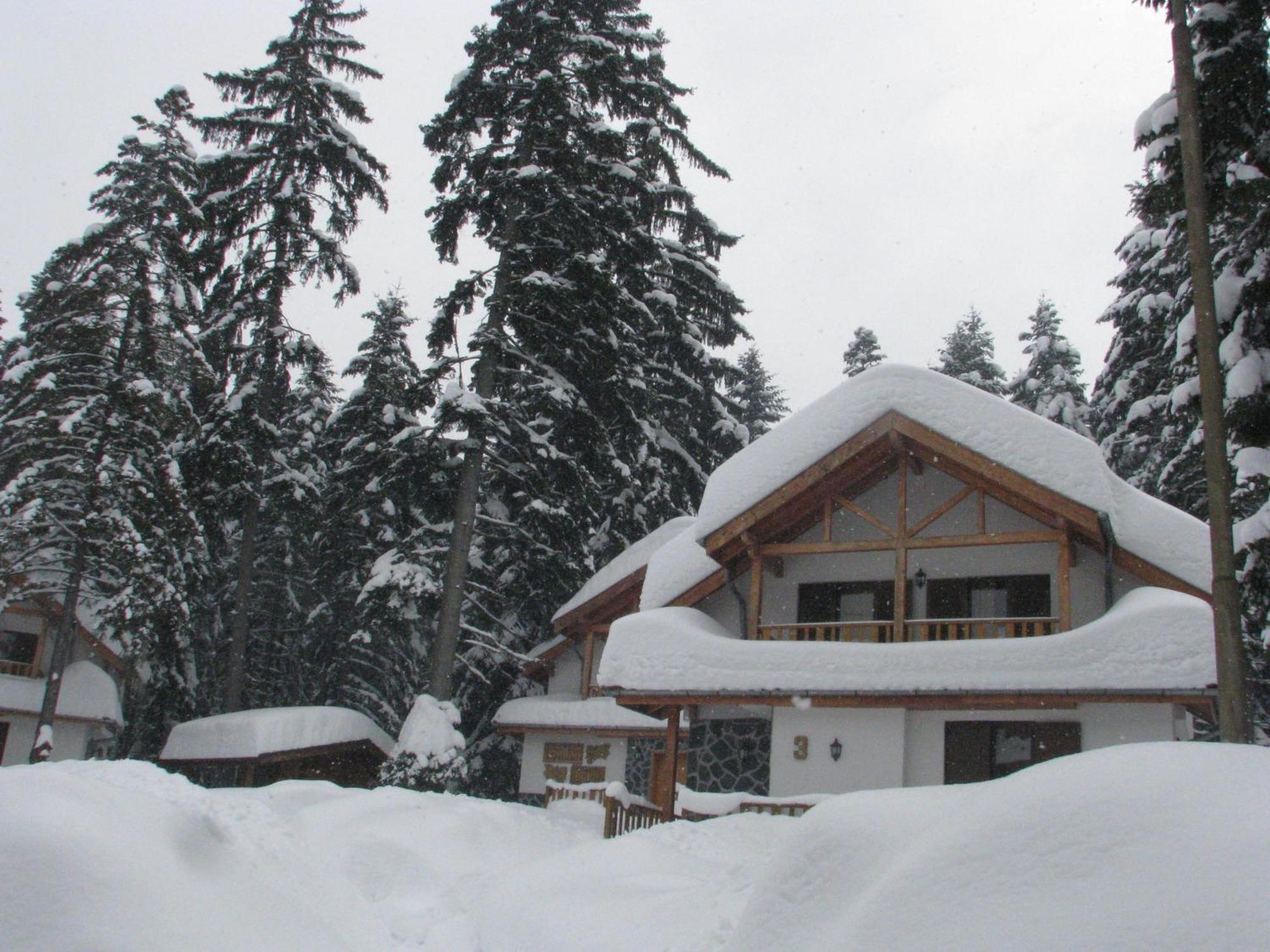 Saint George Holiday Village Borovets Extérieur photo