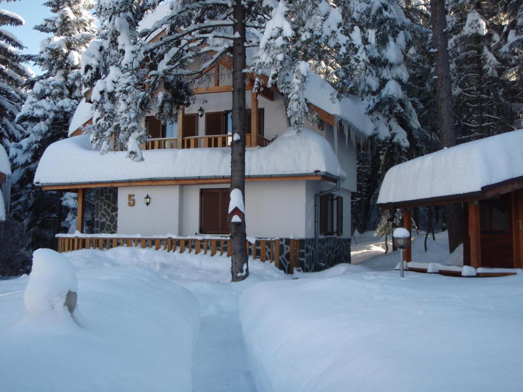 Saint George Holiday Village Borovets Extérieur photo