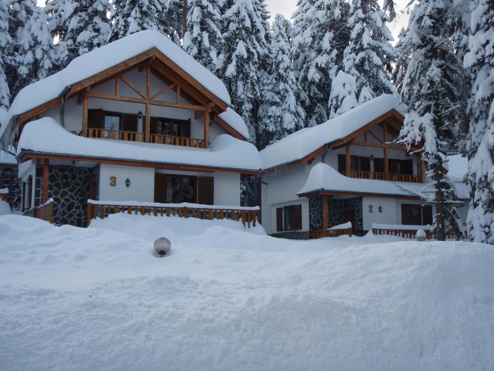 Saint George Holiday Village Borovets Extérieur photo