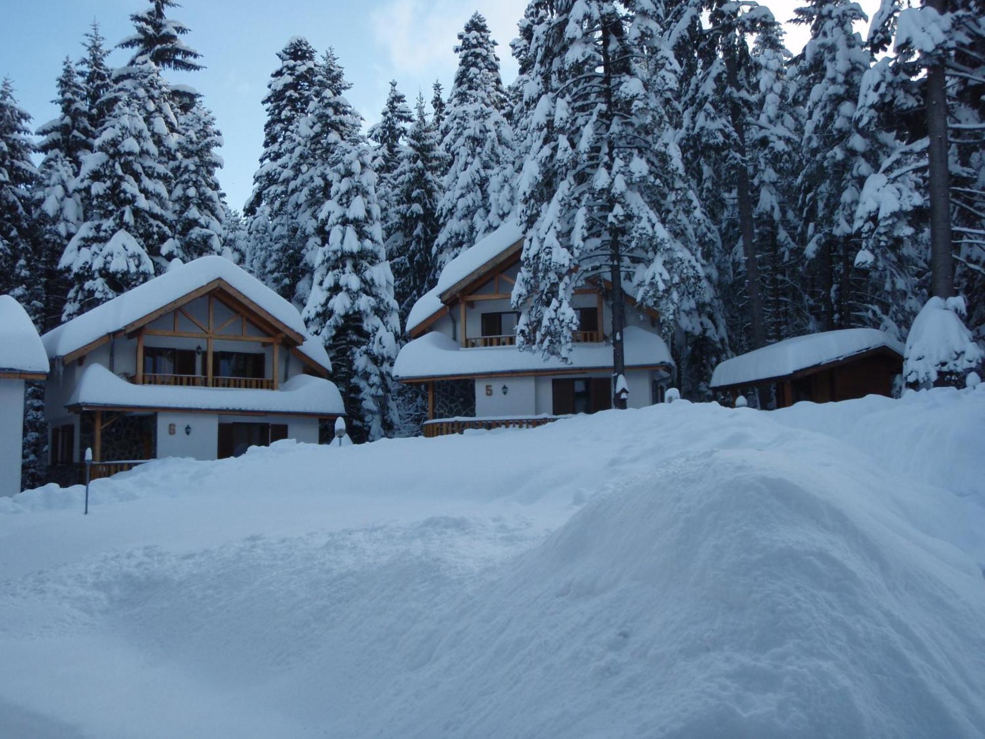 Saint George Holiday Village Borovets Extérieur photo