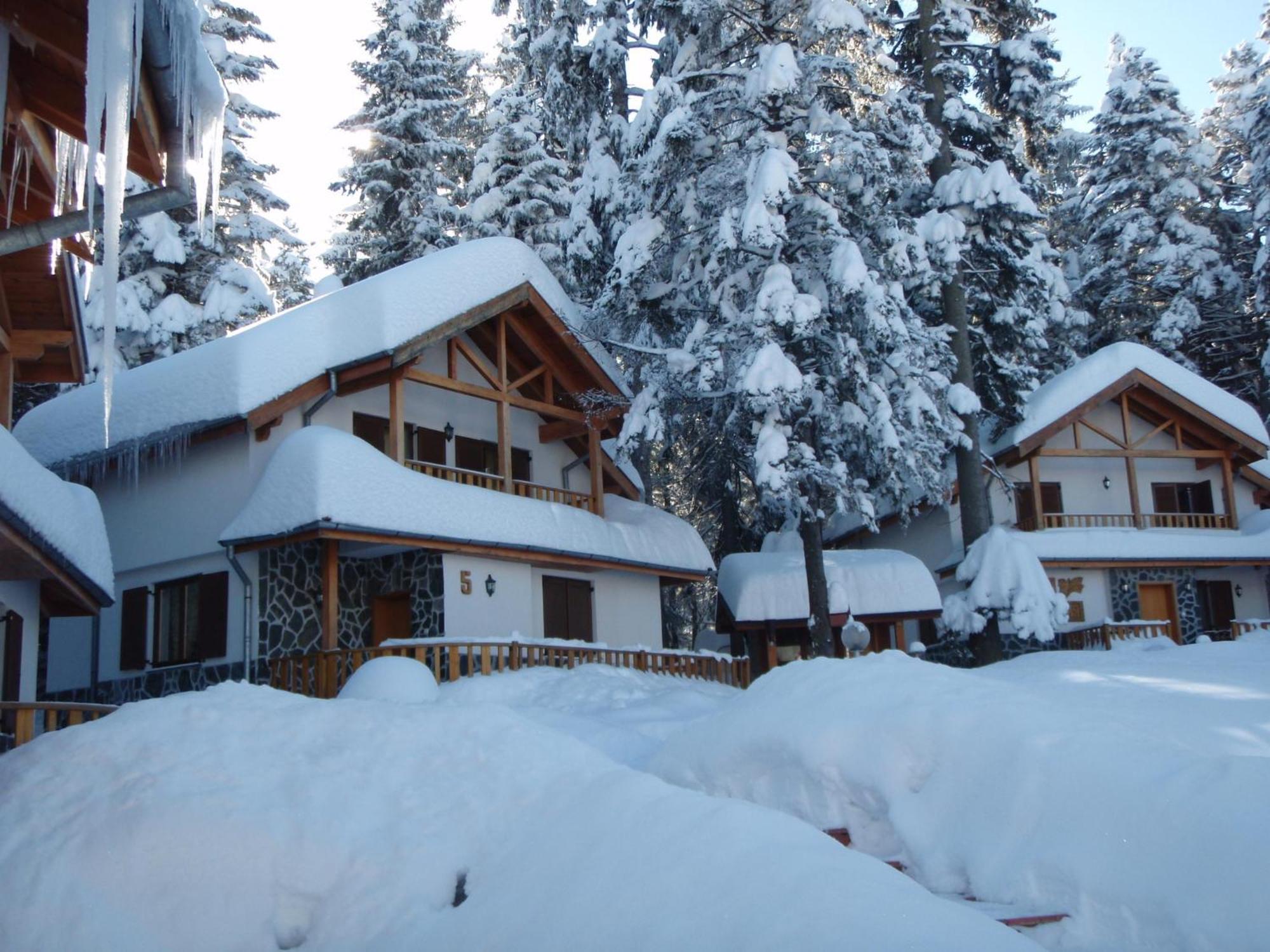 Saint George Holiday Village Borovets Extérieur photo