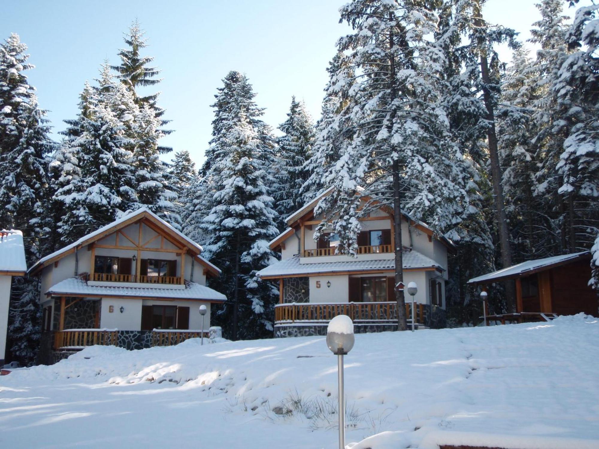 Saint George Holiday Village Borovets Extérieur photo